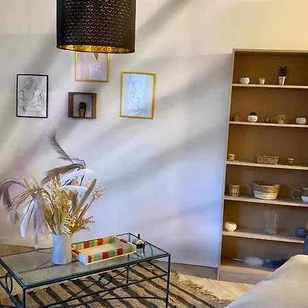 Studio Apartment